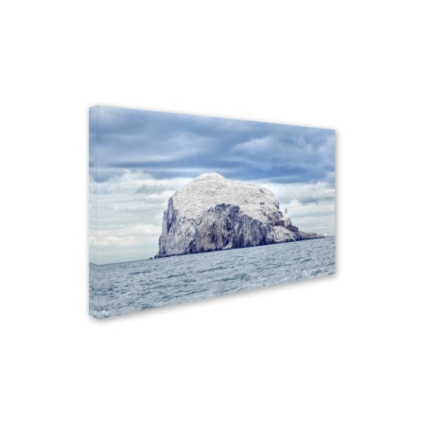 Joan Gil Raga 'Bass Rock' Canvas Art,16x24